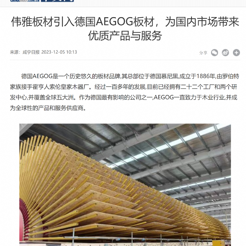 中国日报展现伟雅板材